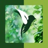 An Amazing Nature Photo Gallery App