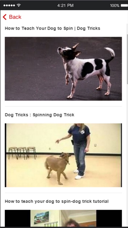 Dog Obedience Training - Learn How to Train Your Dog screenshot-4