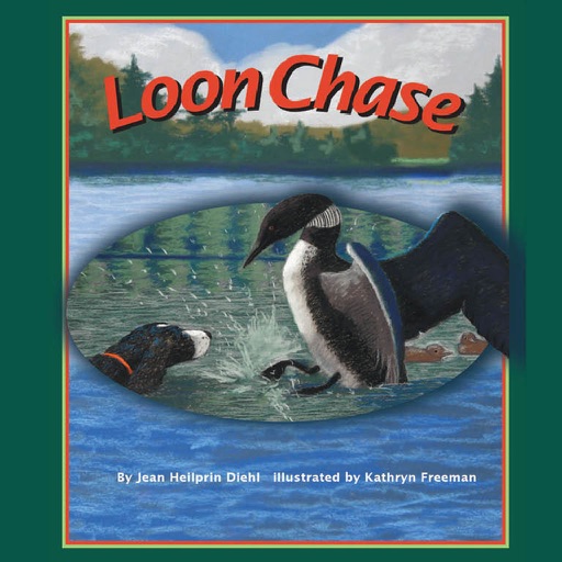 Loon Chase (Picture Book)