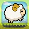 Fluffy Sheep