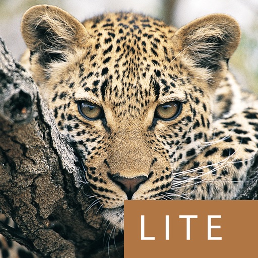 eGuide to Mammals of Southern Africa LITE