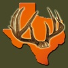 Texas Deer Hunting Guide