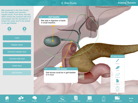 Anatomy & Function: A 3D Visual Reference of the Human Body screenshot 4