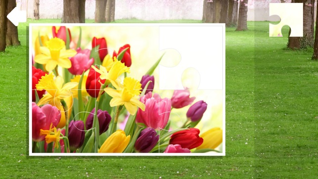 Jigsaw Puzzles. Spring