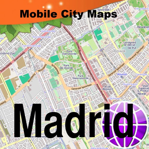 Madrid Street Map. icon