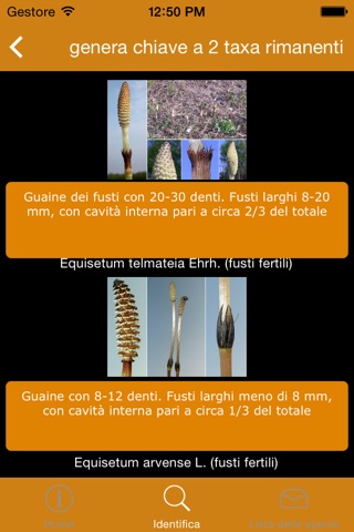 Guida interattiva alle piante dei luoghi umidi delle Valli di Argenta (FE) screenshot 3