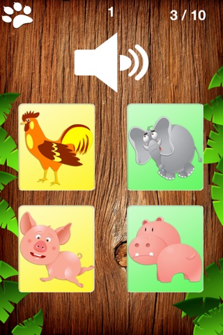 Learn Animals in Many Languages - Learning with fun and ease screenshot 3
