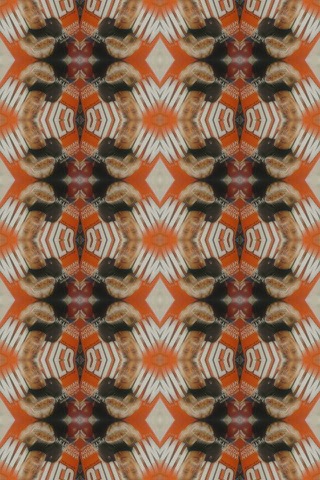 Video Kaleidoscope screenshot 3