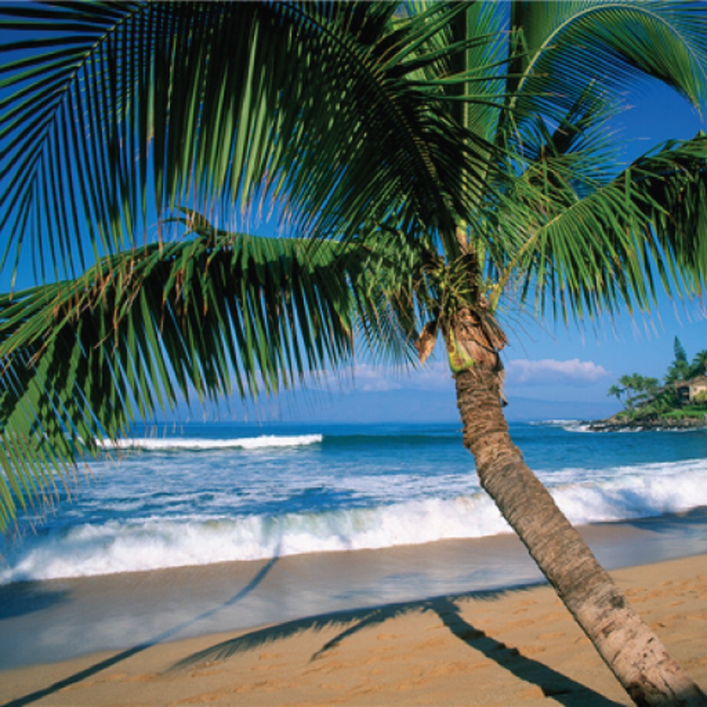 Maui's Best Beaches icon