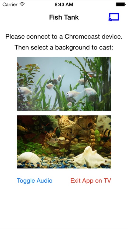 Fish Tank on TV for Chromecast