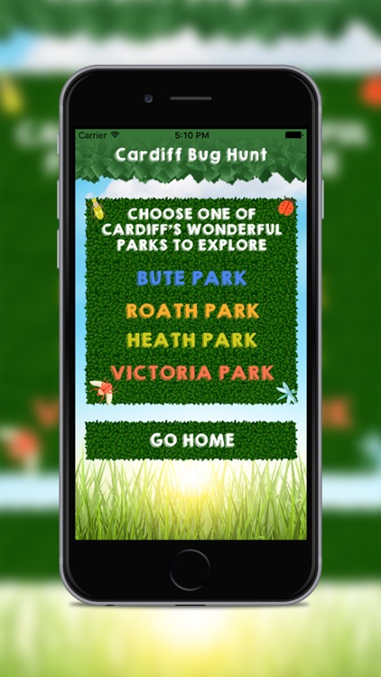 Cardiff Bug Hunt
