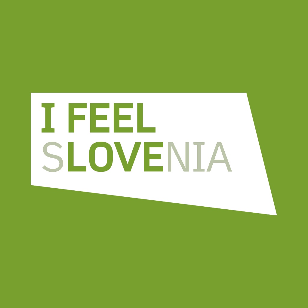 Slovenia's Top 50 icon