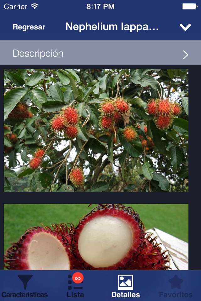 Exotic Fruit Guide screenshot 4