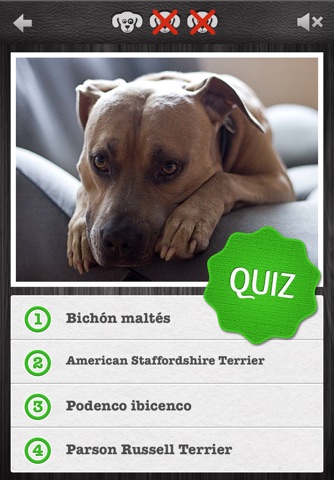 Dogs PRO - NATURE MOBILE - Dog Breed Guide and Quiz Game screenshot 3