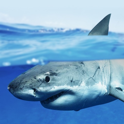 Expedition White Shark for iPad icon