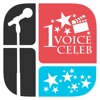 1 voice 1 celeb