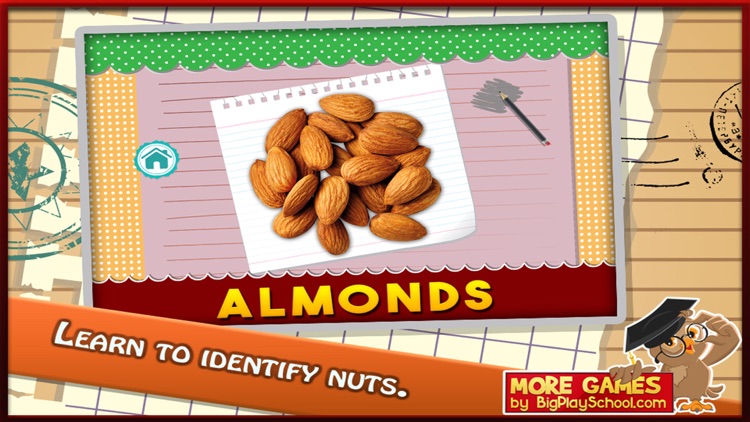 Learn Nuts Kids e-Learning