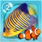 Dive into a beautiful 3D aquarium on your device