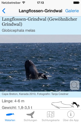 Whale Watching screenshot 2
