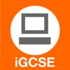 ICT iGCSE & GCSE Revison Games