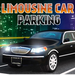 Limousine City Parking 3D