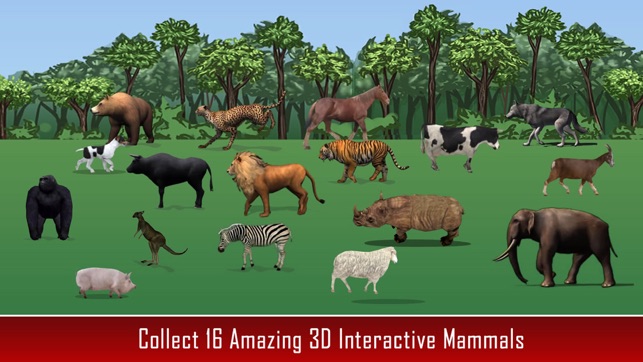 Animal Kingdom Math For Kids(圖4)-速報App