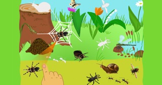 How to cancel & delete Who Lives Where, Educational puzzle with animals for toddlers, Age 2+ from iphone & ipad 4