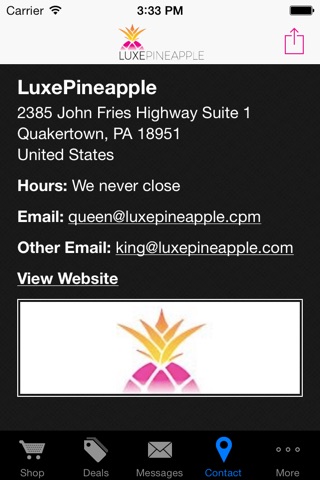 LUXEPINEAPPLE screenshot 4