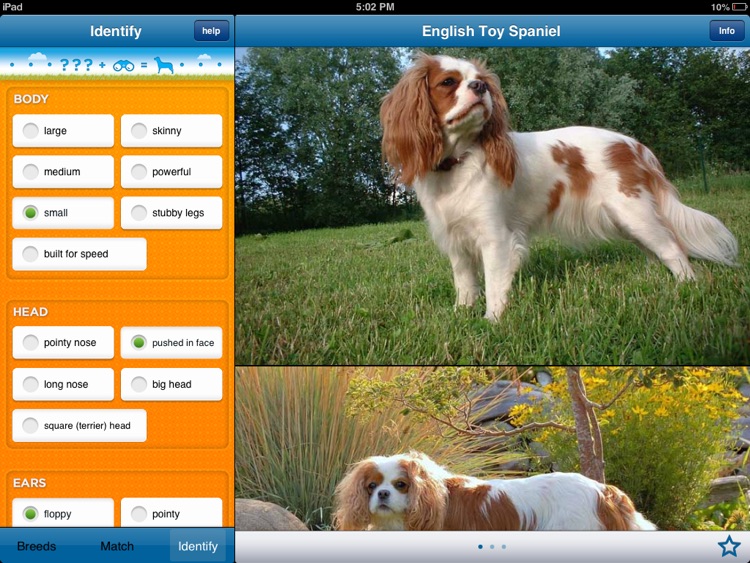 Perfect Dog HD Pro - Ultimate Breed Guide To Dogs