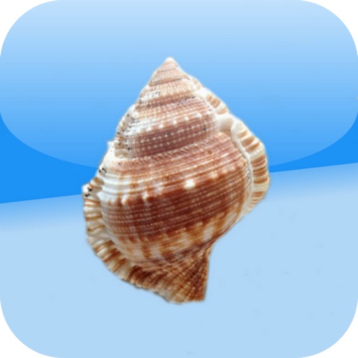 Shell Quest icon