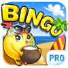 A Bingo Mania Pro