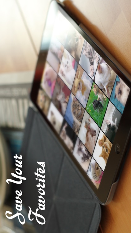 Cats™ screenshot-3