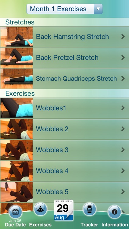Sculpt My Pregnancy