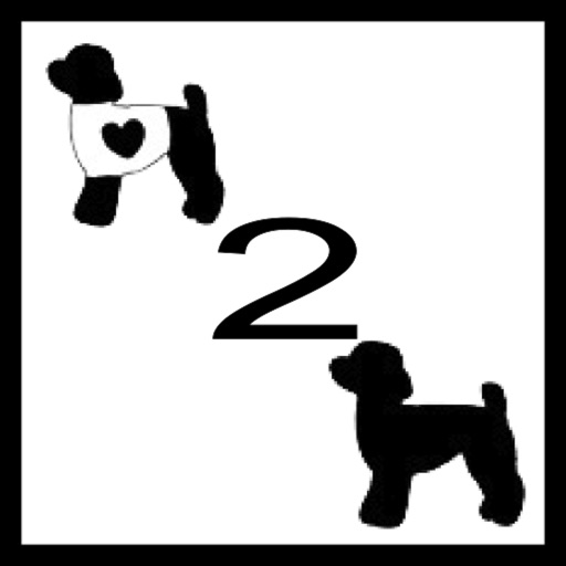 Touch the Silhouette2 icon