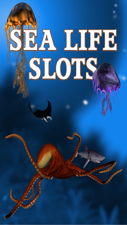 Sea Life Slots FREE – Spin the Ocean Bonus Casino Wheel , Big Win Jackpot  Fortune screenshot-4