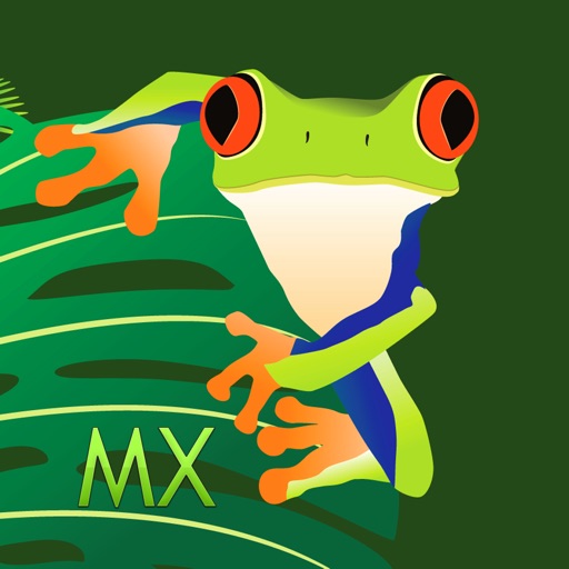 Red-Eyed Tree Frog Fall Rescue MX - Hungry Alligator Chomp Escape Challenge icon
