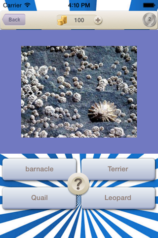 Animals Guess Quiz screenshot 2