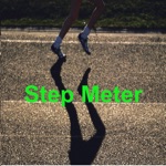 step meter Pedometer free