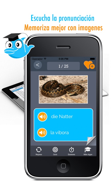 Learn German and Spanish Vocabulary: Memorize Words - Free screenshot-0