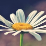 Seasons Wallpaper Photography Backgrounds