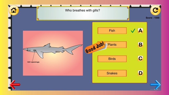 1st Grade Science Glossary #2: Learn and Practice Worksheets(圖4)-速報App