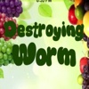 Destroying Worm