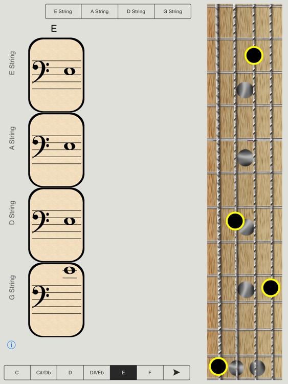 Bass Notes for Beginners - HD screenshot-3