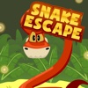 Snake Escape Fun