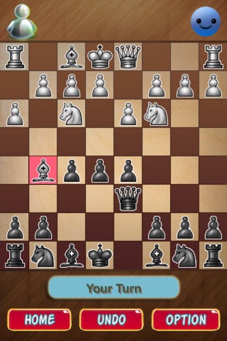 Classic Chess Board Game screenshot 4