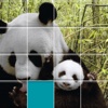 Pandas Sliding Jigsaw