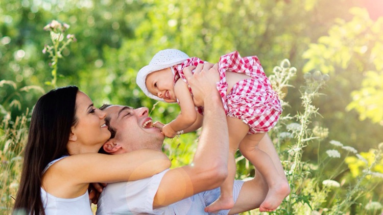 Multiproyectos screenshot-4