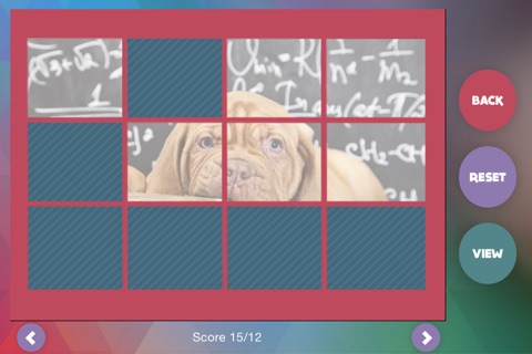 Déjà Vu - Puppies screenshot 3