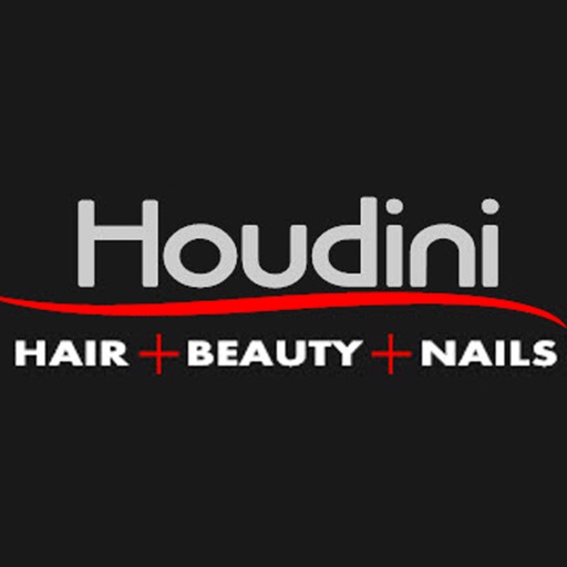 Houdini Hair Icon