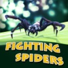 Fighting Spiders